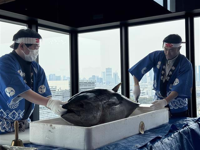 シティタワーズ東京ベイ マグロ解体ショーイベントの様子